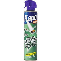 Kapo Aerosol for All Crawling Insects
